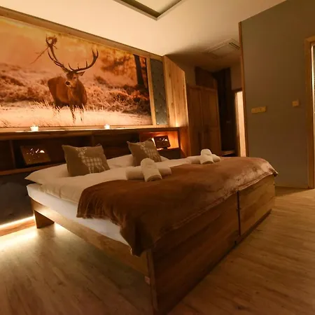 Guest house U Medveda Frydek-Mistek