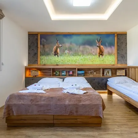 U Medvěda 3*